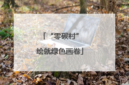 “零碳村” 绘就绿色画卷