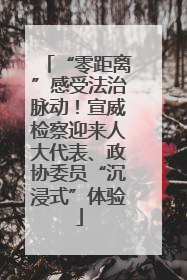 “零距离”感受法治脉动！宣威检察迎来人大代表、政协委员“沉浸式”体验