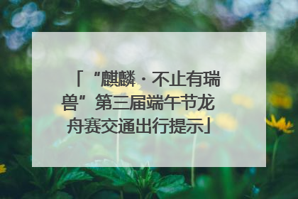 “麒麟・不止有瑞兽”第三届端午节龙舟赛交通出行提示