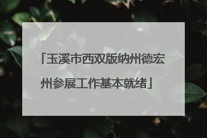 玉溪市西双版纳州德宏州参展工作基本就绪