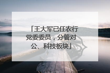 王大军已任农行党委委员，分管对公、科技板块