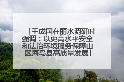 王成国在丽水调研时强调：以更高水平安全和法治环境服务保障山区海岛县高质量发展