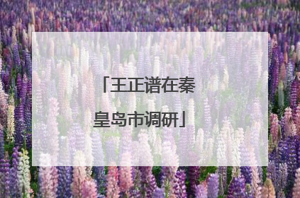王正谱在秦皇岛市调研