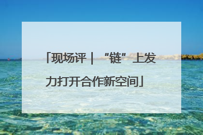 现场评｜“链”上发力打开合作新空间