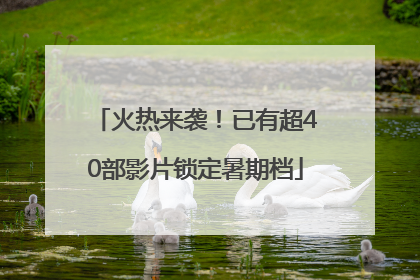 火热来袭！已有超40部影片锁定暑期档