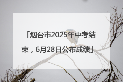烟台市2025年中考结束，6月28日公布成绩