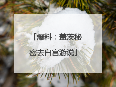 爆料：盖茨秘密去白宫游说