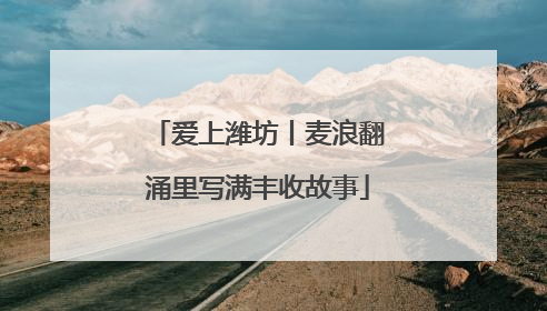 爱上潍坊丨麦浪翻涌里写满丰收故事