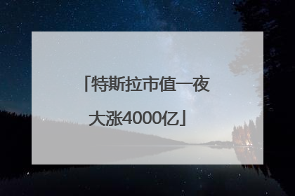 特斯拉市值一夜大涨4000亿