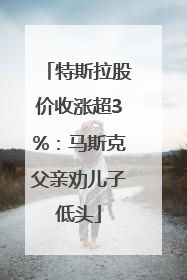 特斯拉股价收涨超3%：马斯克父亲劝儿子低头