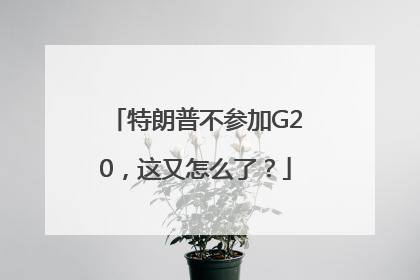特朗普不参加G20，这又怎么了？