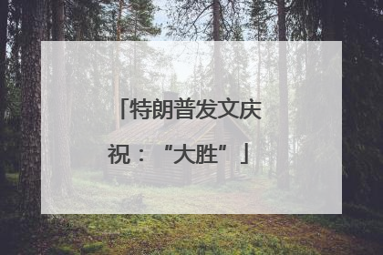特朗普发文庆祝：“大胜”