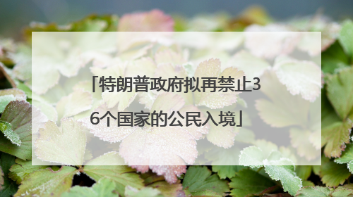 特朗普政府拟再禁止36个国家的公民入境