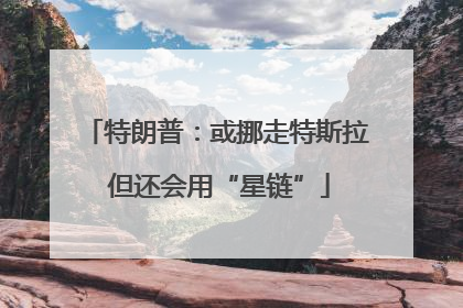 特朗普：或挪走特斯拉 但还会用“星链”