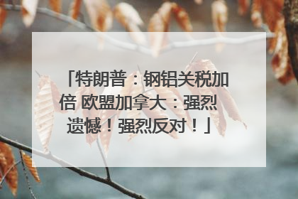 特朗普：钢铝关税加倍 欧盟加拿大：强烈遗憾！强烈反对！