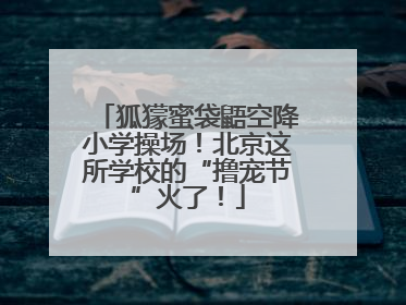狐獴蜜袋鼯空降小学操场！北京这所学校的“撸宠节”火了！