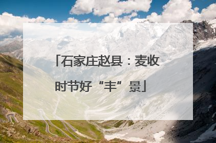 石家庄赵县：麦收时节好“丰”景