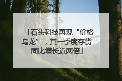 石头科技再现“价格乌龙”，其一季度存货同比增长近两倍