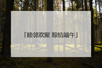 睦邻欢聚 粽情端午