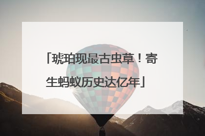 琥珀现最古虫草！寄生蚂蚁历史达亿年