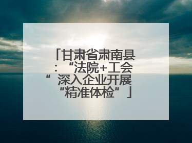 甘肃省肃南县：“法院+工会”深入企业开展“精准体检”