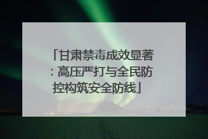 甘肃禁毒成效显著：高压严打与全民防控构筑安全防线