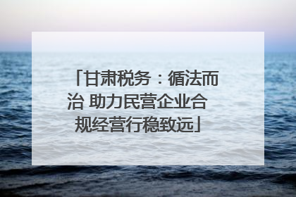 甘肃税务：循法而治 助力民营企业合规经营行稳致远