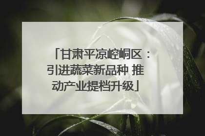 甘肃平凉崆峒区：引进蔬菜新品种 推动产业提档升级