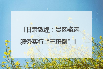 甘肃敦煌：景区骆运服务实行“三班倒”