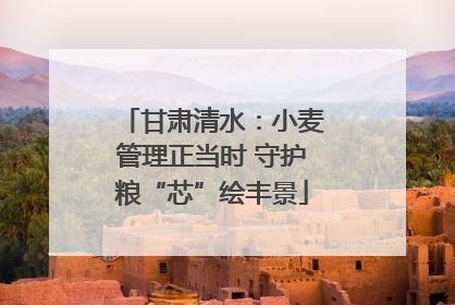 甘肃清水：小麦管理正当时 守护粮“芯”绘丰景