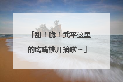 甜！脆！武平这里的鹰嘴桃开摘啦～