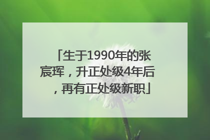生于1990年的张宸珲，升正处级4年后，再有正处级新职