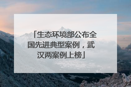 生态环境部公布全国先进典型案例，武汉两案例上榜
