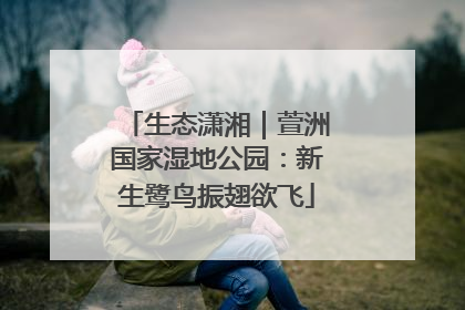 生态潇湘｜萱洲国家湿地公园：新生鹭鸟振翅欲飞