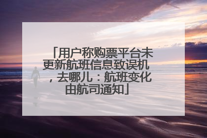 用户称购票平台未更新航班信息致误机，去哪儿：航班变化由航司通知