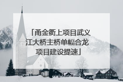 甬金衢上项目武义江大桥主桥单幅合龙 项目建设提速