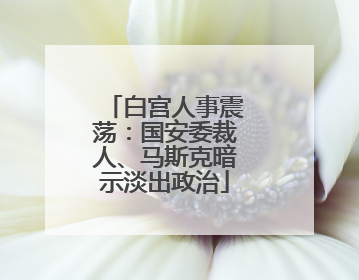 白宫人事震荡：国安委裁人、马斯克暗示淡出政治
