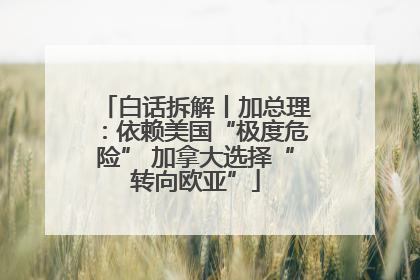 白话拆解丨加总理：依赖美国“极度危险” 加拿大选择“转向欧亚”