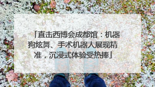 直击西博会成都馆：机器狗炫舞、手术机器人展现精准，沉浸式体验受热捧
