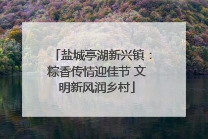 盐城亭湖新兴镇：粽香传情迎佳节 文明新风润乡村