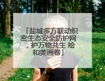 盐城多方联动织密生态安全防护网，护万物共生 绘和美画卷