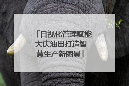 目视化管理赋能 大庆油田打造智慧生产新图景