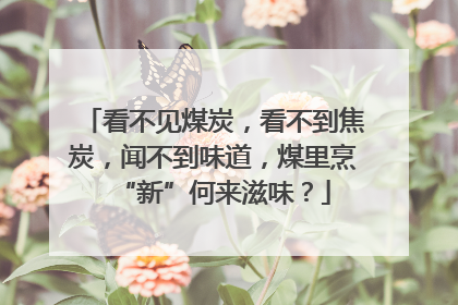 看不见煤炭，看不到焦炭，闻不到味道，煤里烹“新”何来滋味？