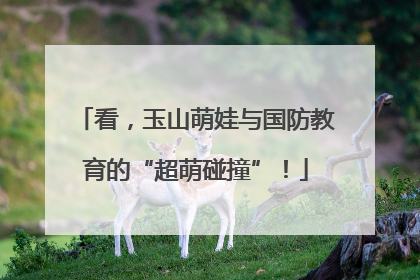 看，玉山萌娃与国防教育的“超萌碰撞”！