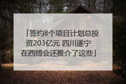 签约8个项目计划总投资203亿元 四川遂宁在西博会还推介了这些