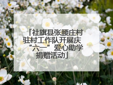 社旗县张腰庄村驻村工作队开展庆“六一”爱心助学捐赠活动