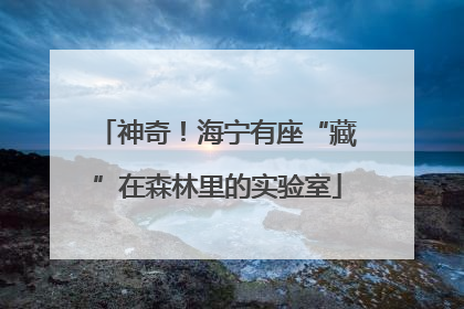 神奇！海宁有座“藏”在森林里的实验室