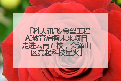 科大讯飞·希望工程AI教育启智未来项目走进云南五校，会泽山区亮起科技星火