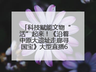科技赋能文物“活”起来！《沿着中原大遗址走廊寻国宝》大型直播6月14日启幕