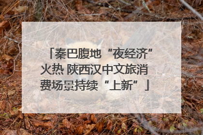 秦巴腹地“夜经济”火热 陕西汉中文旅消费场景持续“上新”
